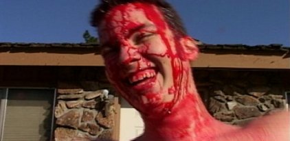 The Stunt Coordinator