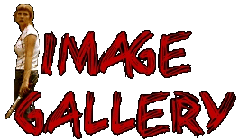 The Image Gallery